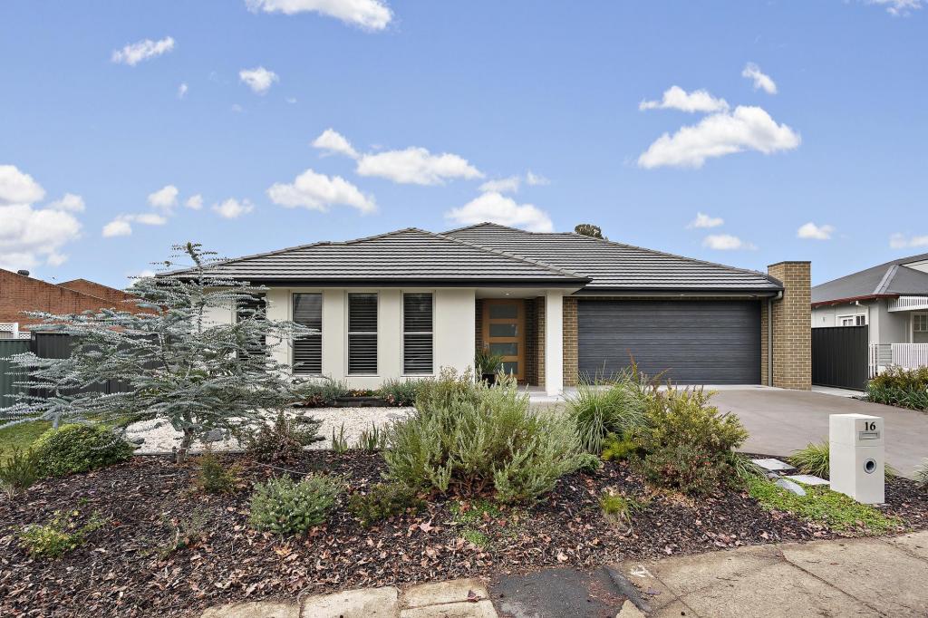 16 Angas St, Ainslie, ACT 2602