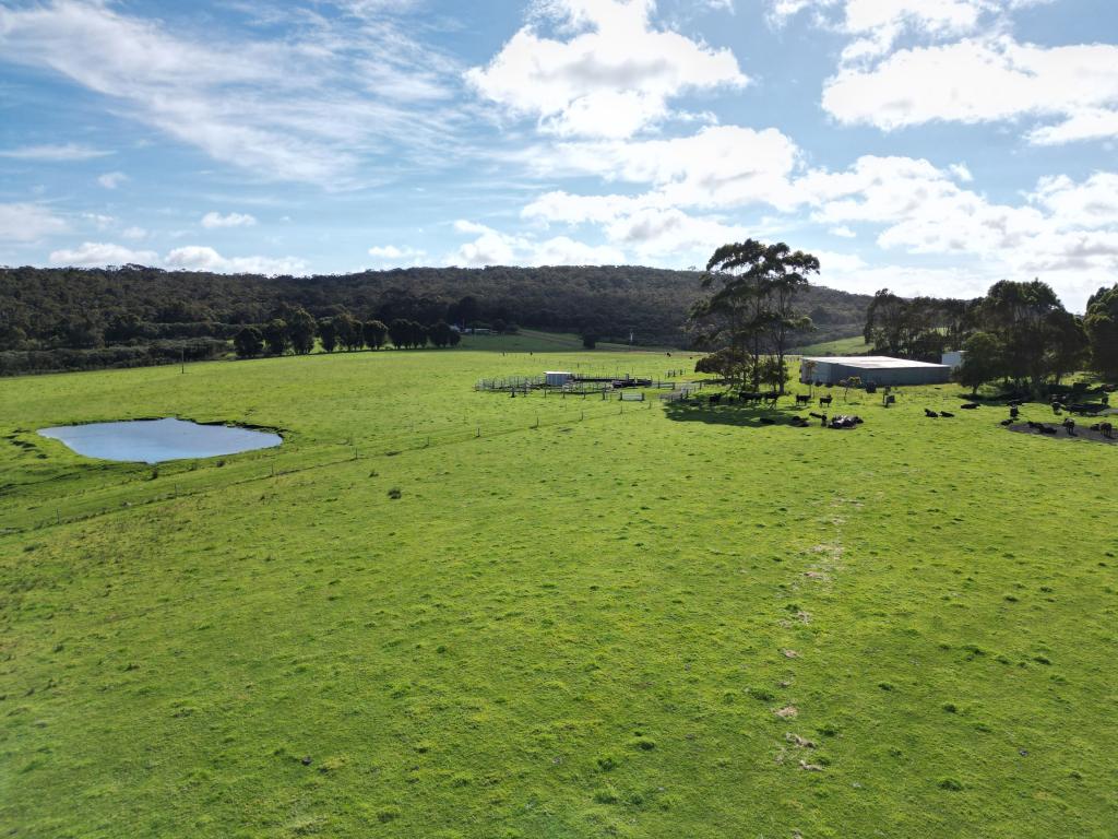 2 Conspicuous Beach Rd, Nornalup, WA 6333