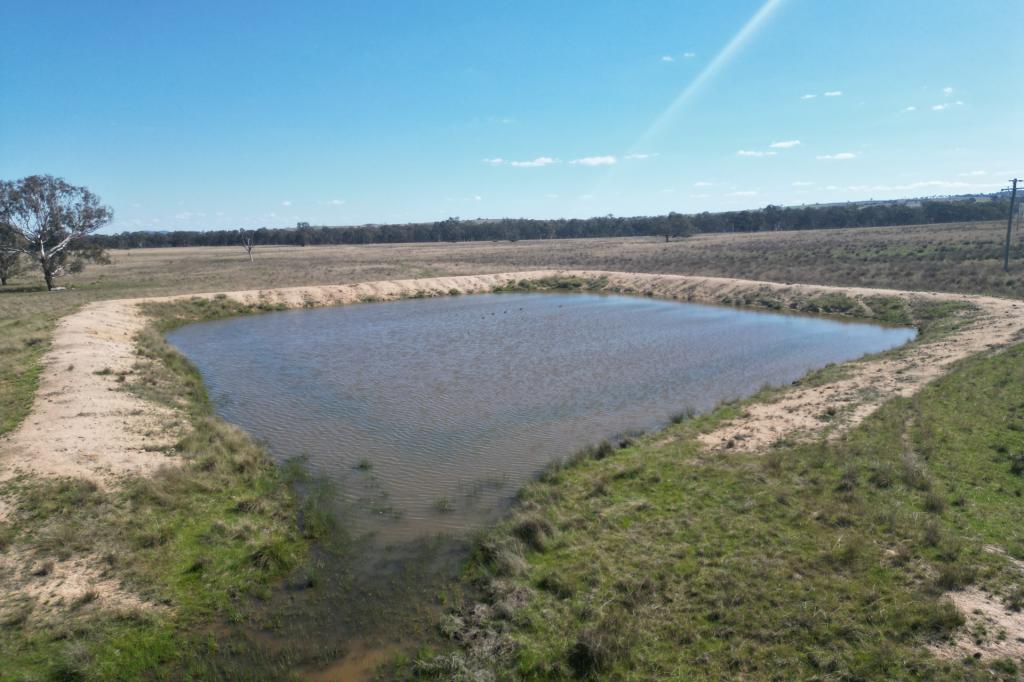 1442 Barneys Reef Rd, Gulgong, NSW 2852