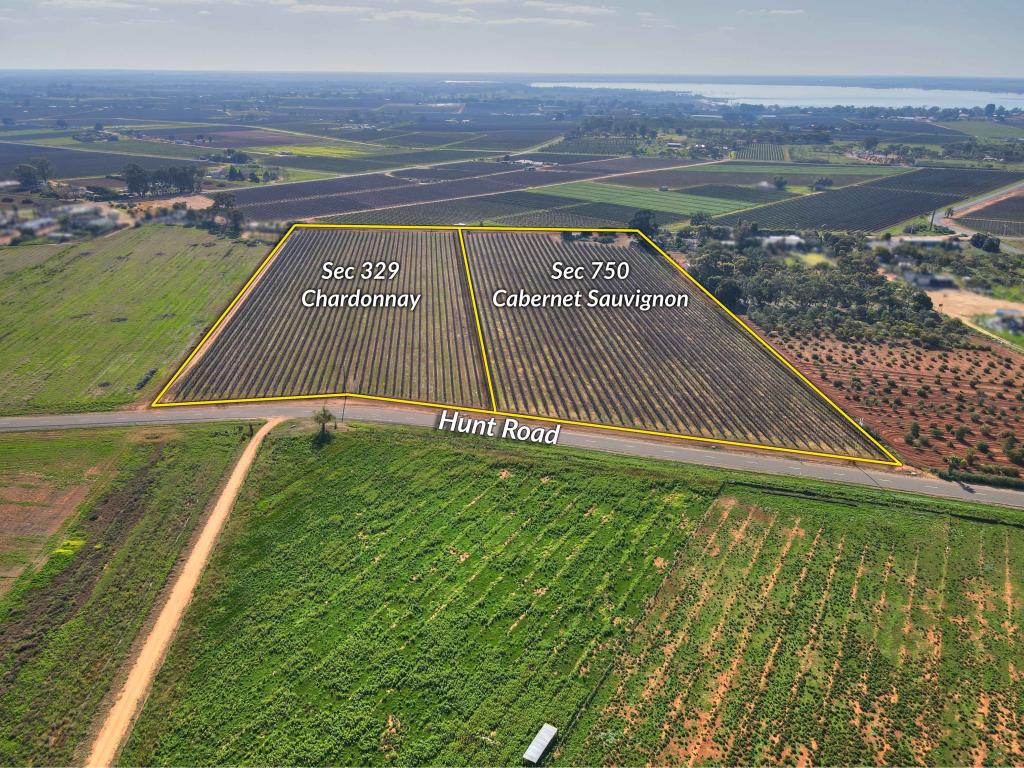 184 Caddy Rd, Barmera, SA 5345