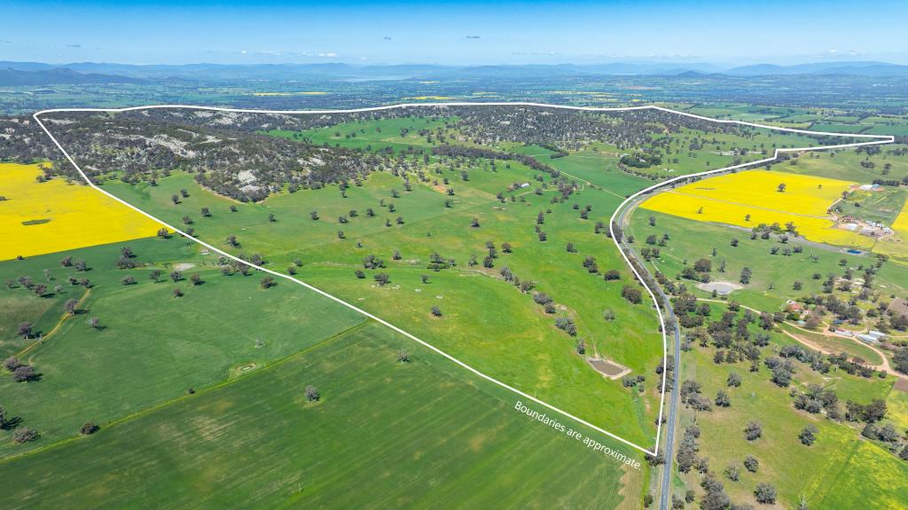 833 WALLA WALLA JINDERA RD, WALLA WALLA, NSW 2659