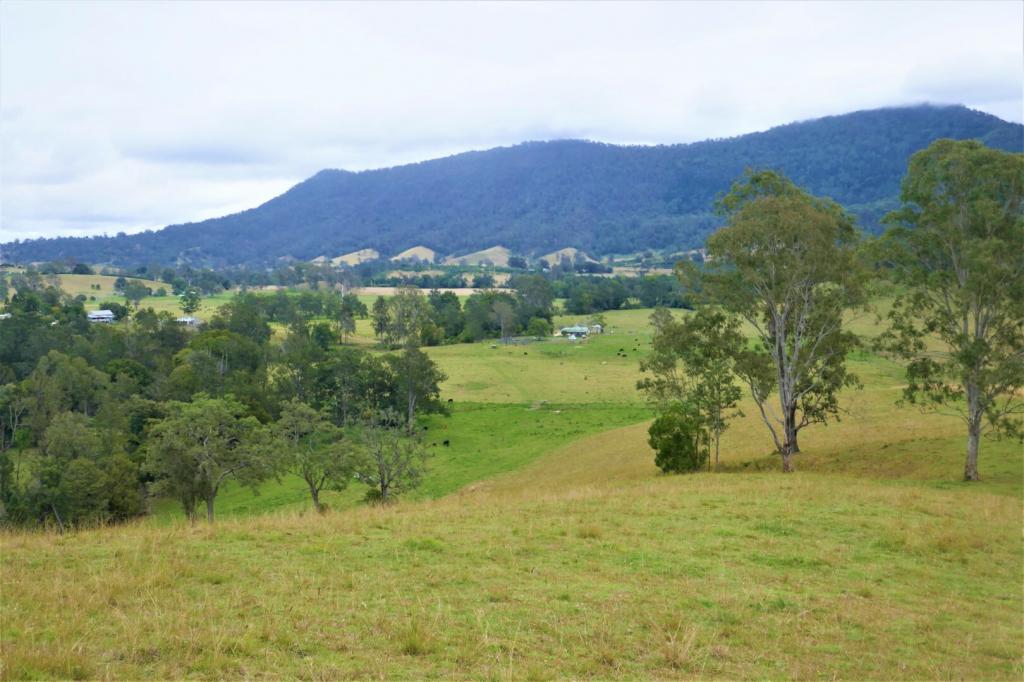 35 Phelps Rd, Green Pigeon, NSW 2474