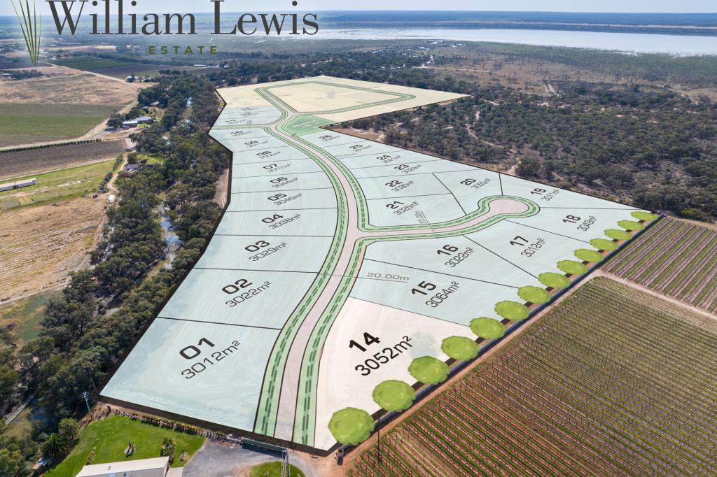 Lot 14 Wilga Rd, Gol Gol, NSW 2738