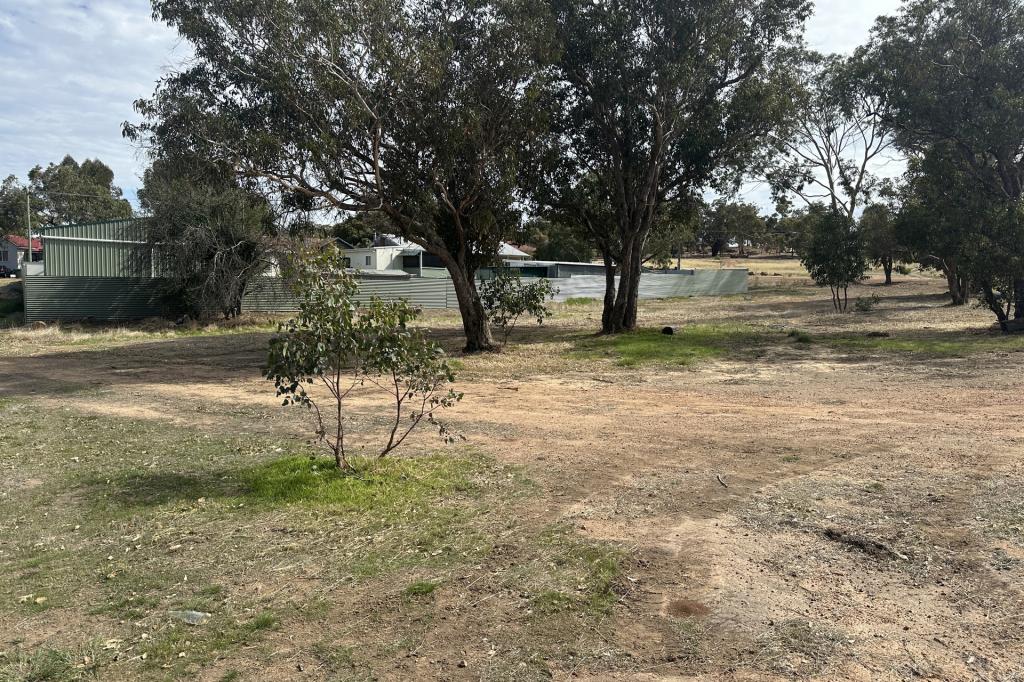 6 Macbride Pl, Kojonup, WA 6395