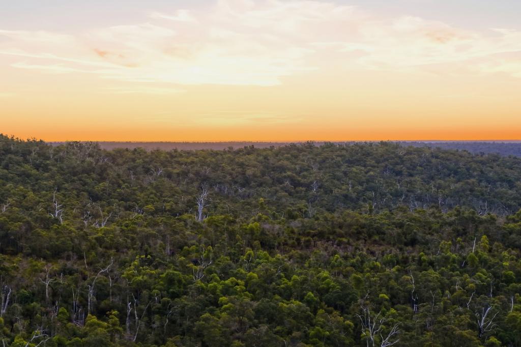 267 GOLD GULLY RD, EAST NANNUP, WA 6275