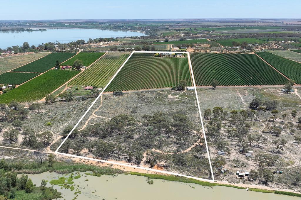 36 Farley Rd, Kingston On Murray, SA 5331