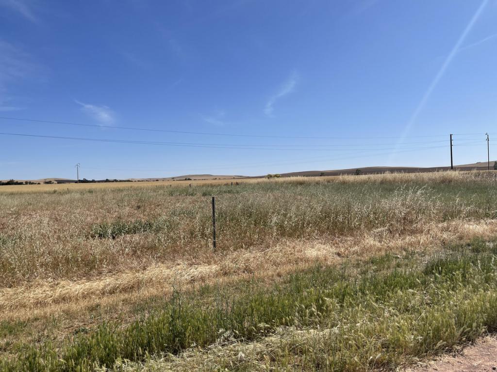 Lot 61 North St, Gladstone, SA 5473