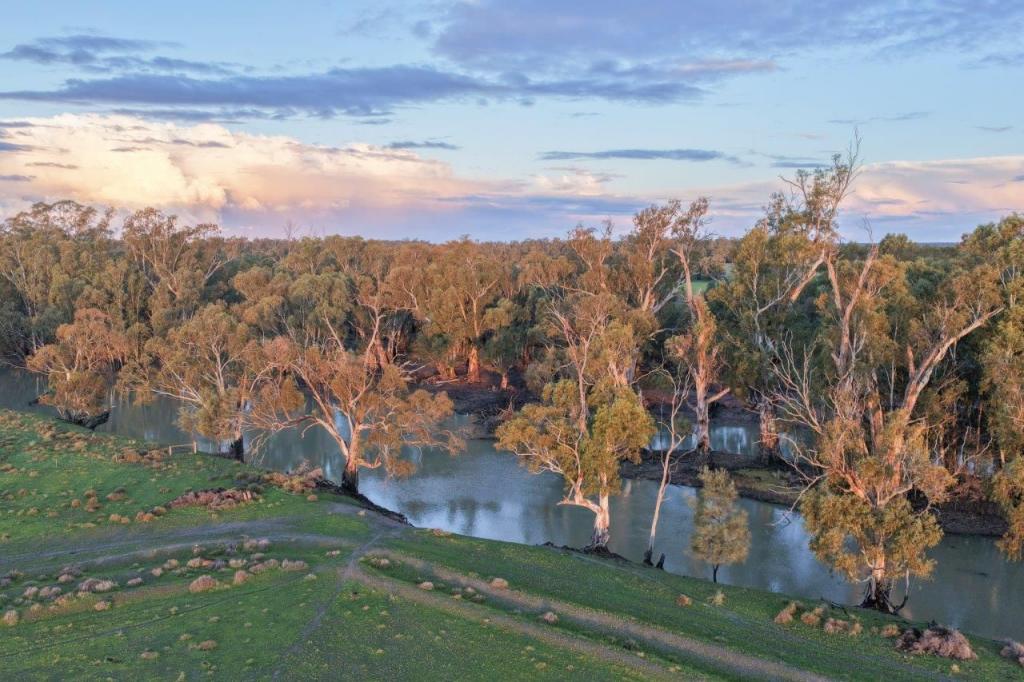 319 Balranald Rd, Moulamein, NSW 2733