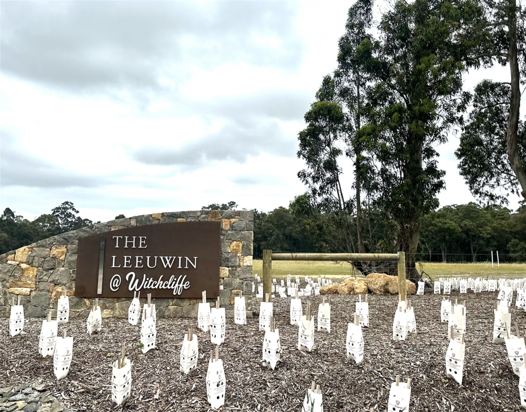 13 Senecio Way, Witchcliffe, WA 6286