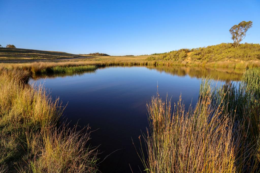 228 Spa Rd, Windellama, NSW 2580