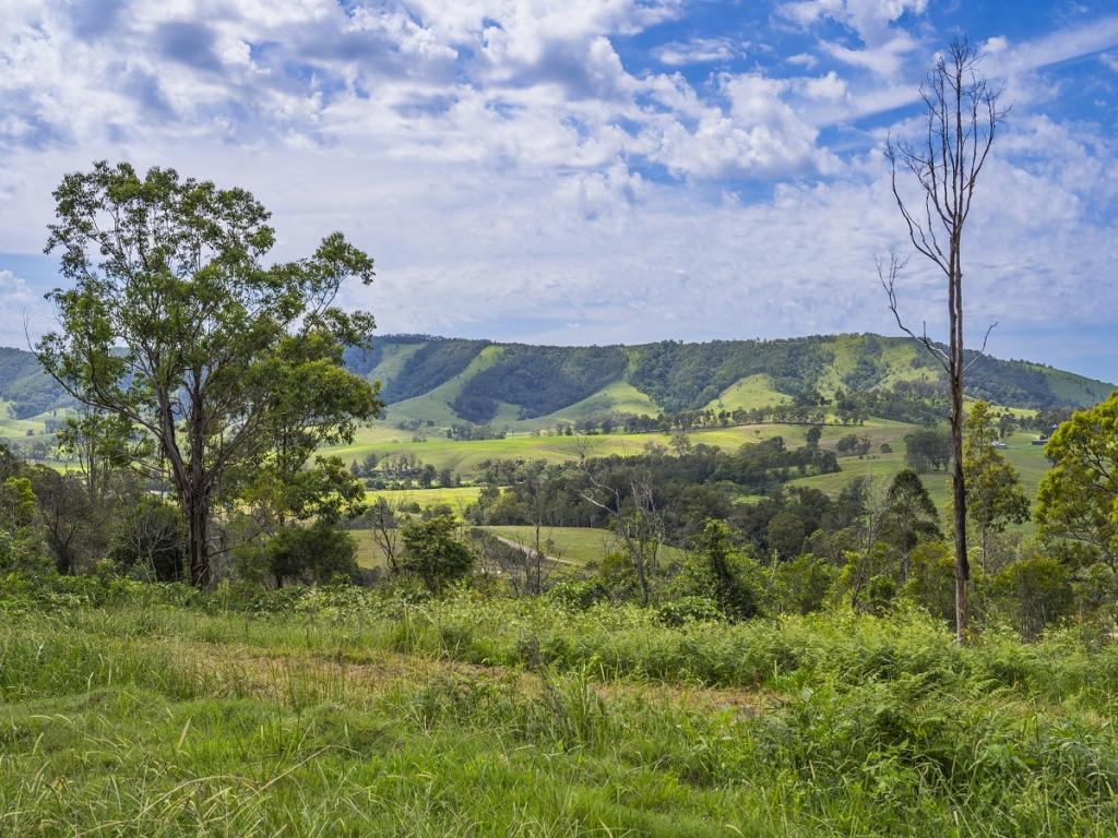 555 Moores Rd, Monkerai, NSW 2415