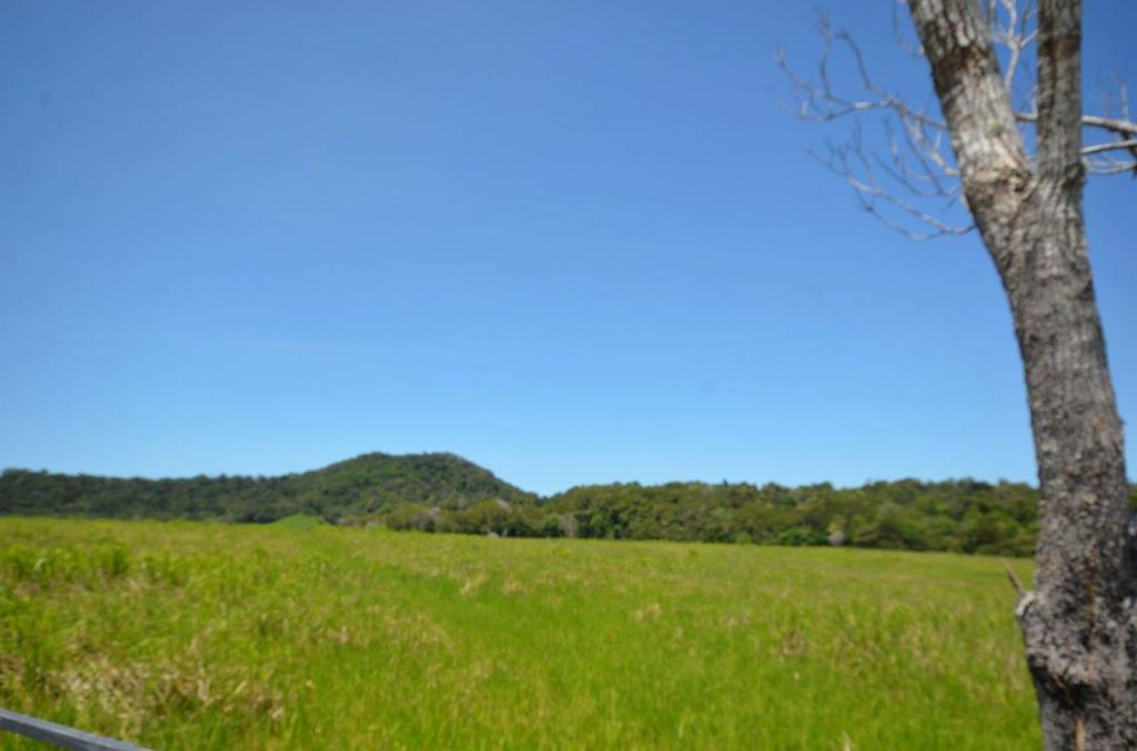 26 Nine Mile Rd, Julatten, QLD 4871