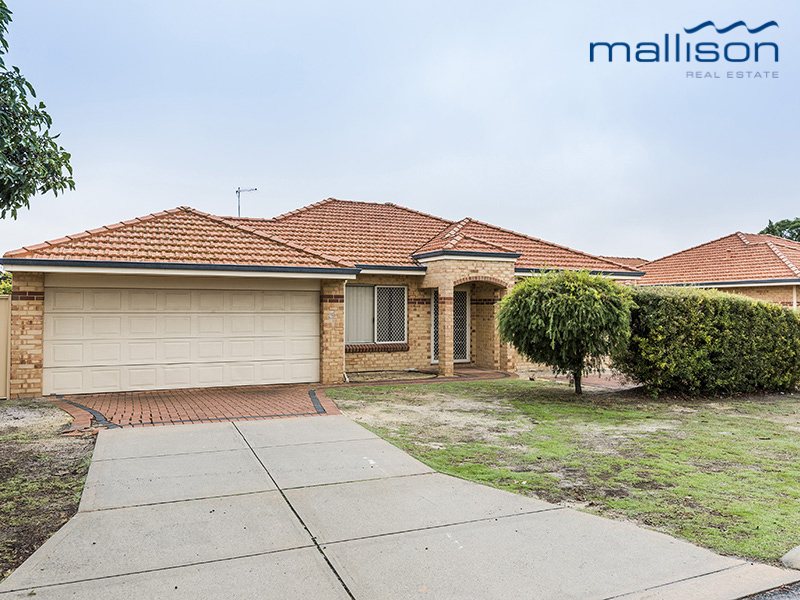 7/40 Alexandra Pl, Bentley, WA 6102