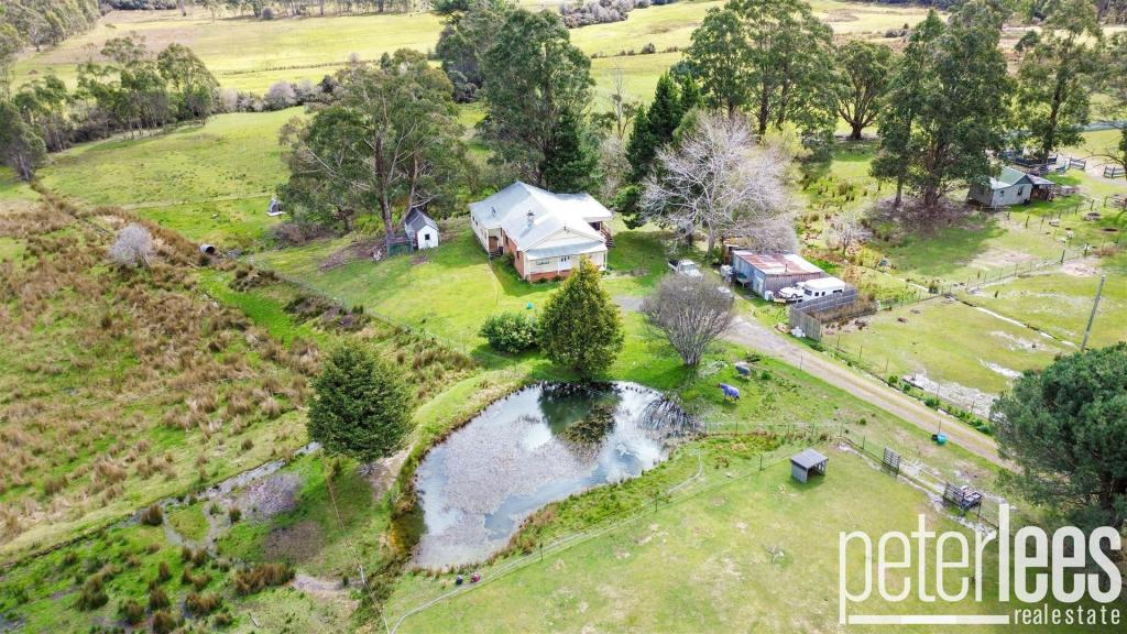 149 Mount Arthur Rd, Patersonia, TAS 7259