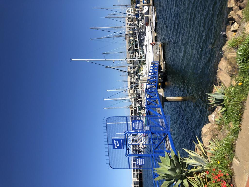 Lot H11 15m Heritage Pt/. Arcadia Ct, North Haven, SA 5018