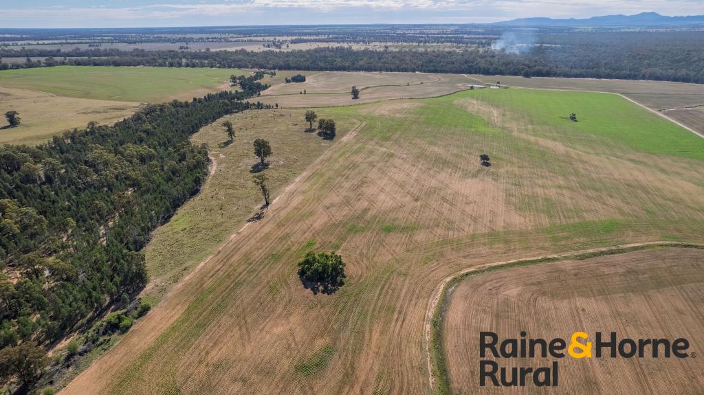 1186 Newell Hwy, Gilgandra, NSW 2827