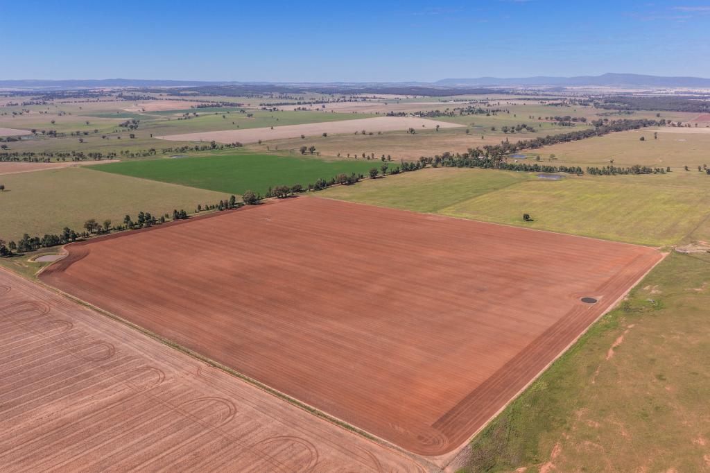 179 MITTONS LANE 'LORNA DOONE', PINNACLE, NSW 2810