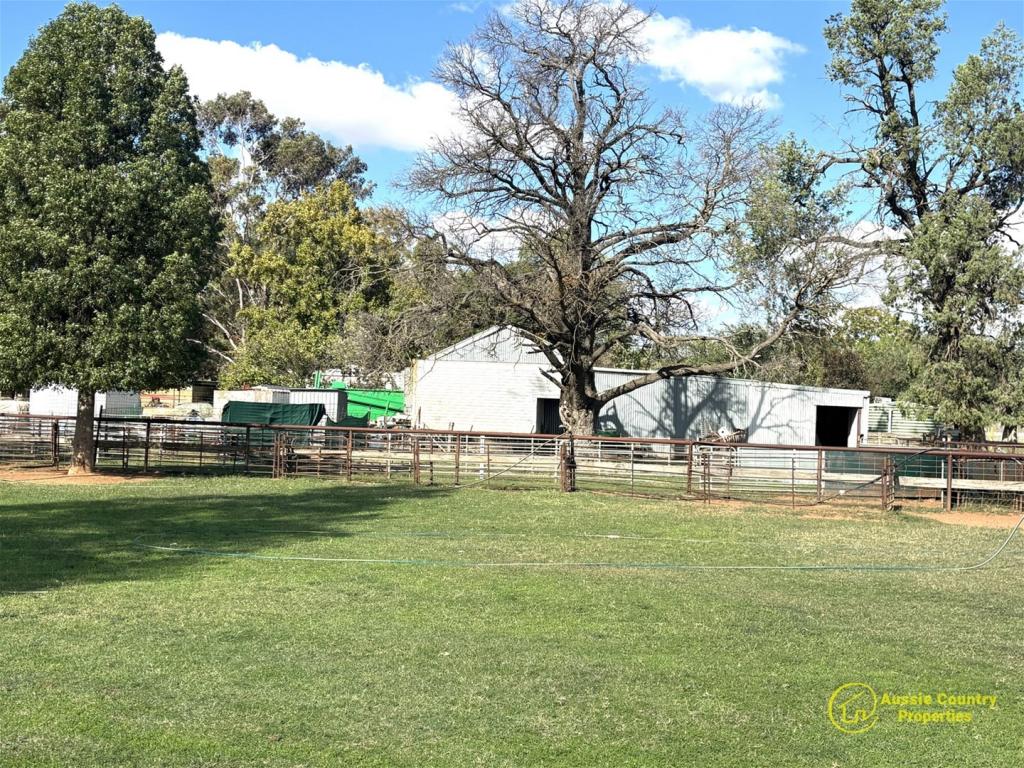 69 Bushfield Rd, Berrigan, NSW 2712