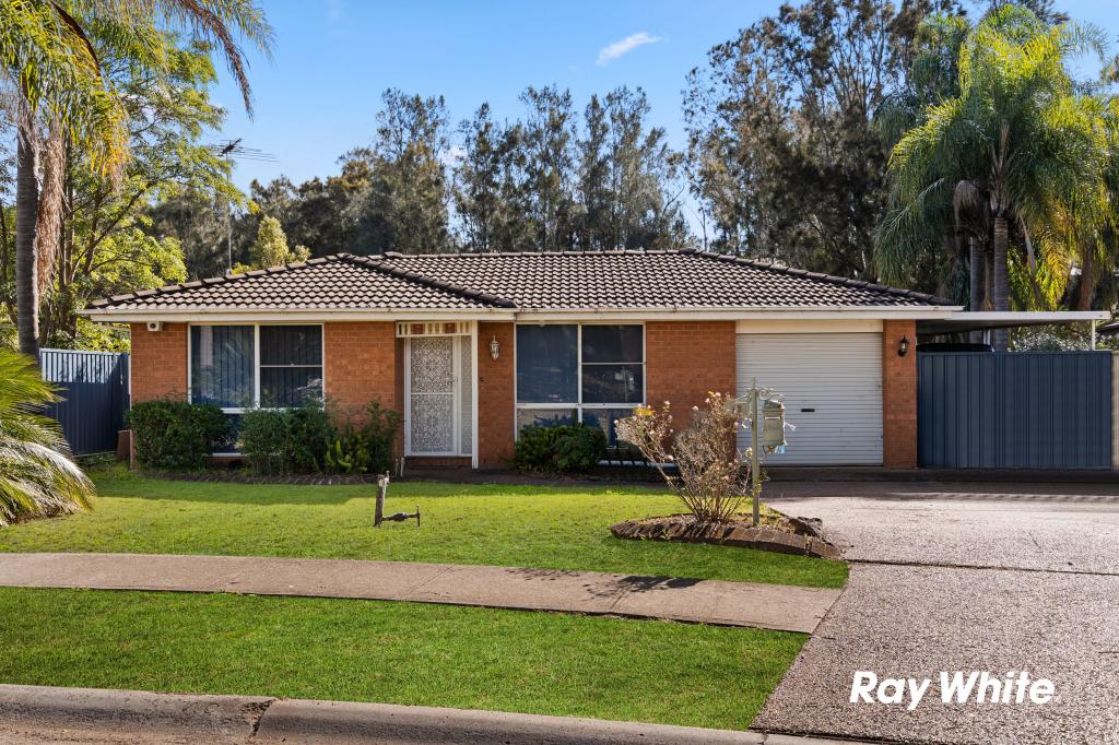 13 Goddard Cres, Quakers Hill, NSW 2763