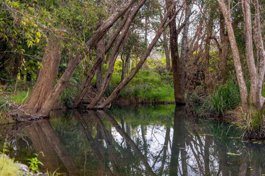 60 Coonoongibber Creek Rd, Brooloo, QLD 4570