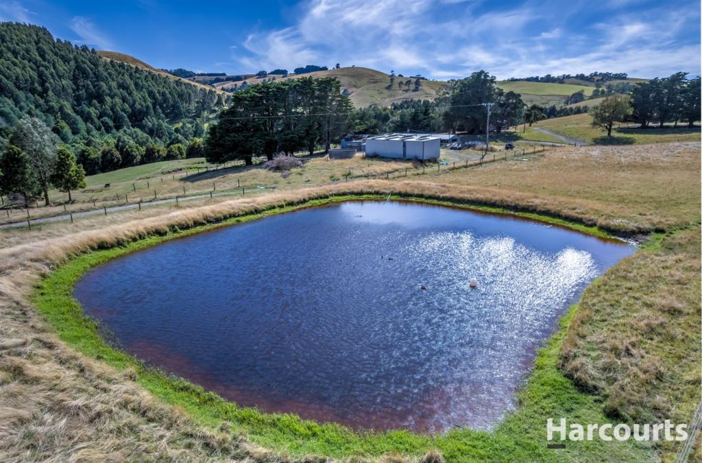 136 O'Tooles Road, Wild Dog Valley, VIC 3953