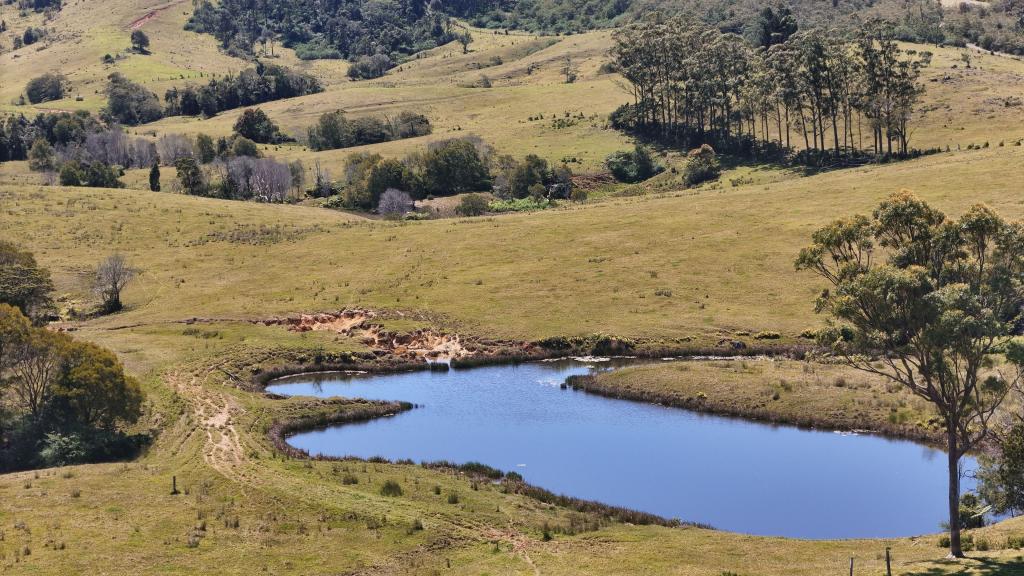 911 DALRYMPLE RD, DALRYMPLE HEIGHTS, QLD 4757