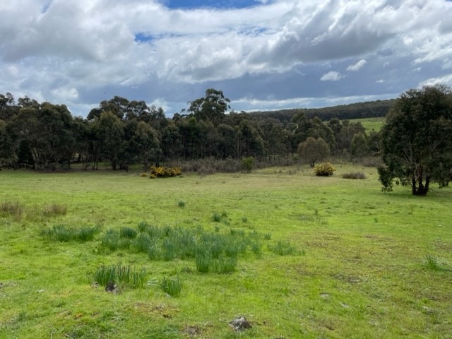 Lot 2 Jubilee Rd, Staffordshire Reef, VIC 3351