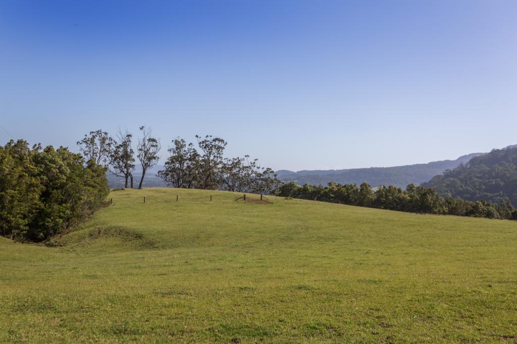 384 Foxground Rd, Foxground, NSW 2534