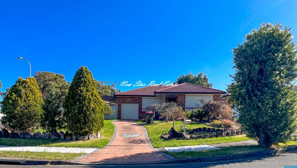 1 Sims Pl, St Johns Park, NSW 2176