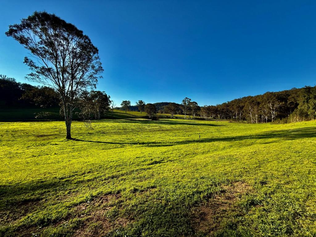 Part Of 3066 Great North Rd, Wollombi, NSW 2325