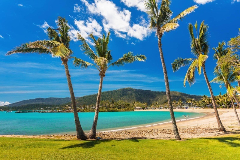Contact agent for address, AIRLIE BEACH, QLD 4802