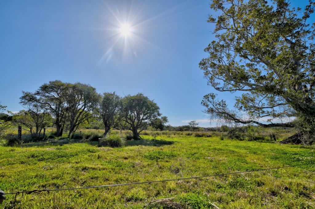 10a Sandy Point Rd, Monaltrie, NSW 2480