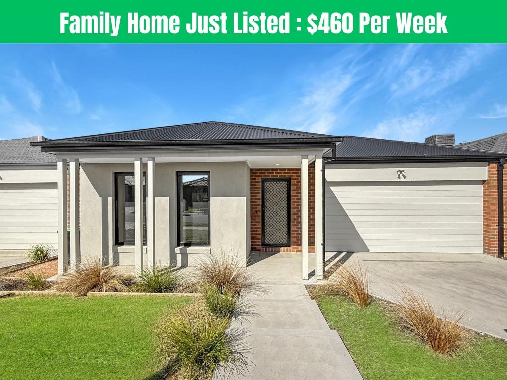 19 Pinaster St, Wallan, VIC 3756