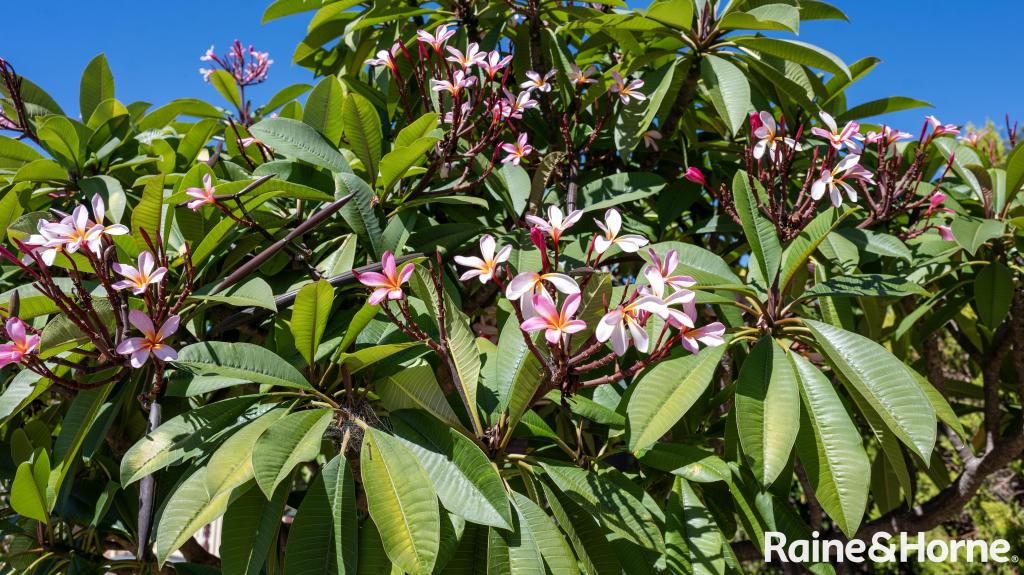 170 Tooth St, Warwick, QLD 4370