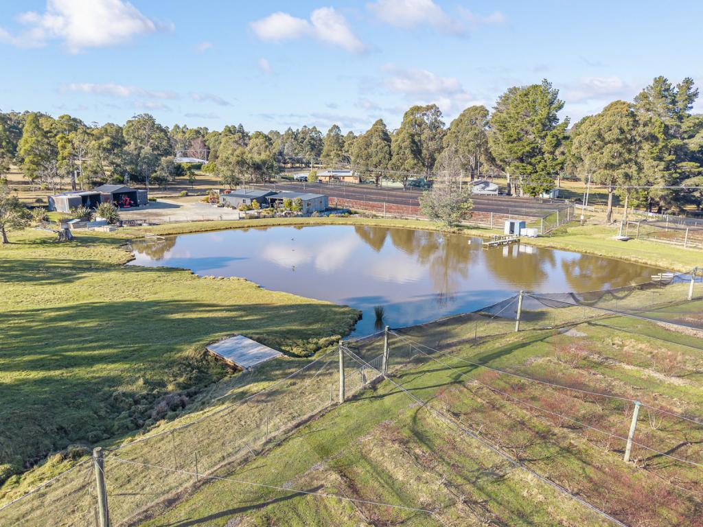 268 Krauses Rd, Lower Longley, TAS 7109