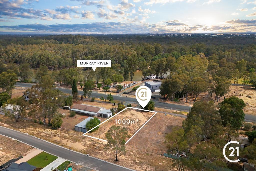 46 CHANTER ST, MOAMA, NSW 2731