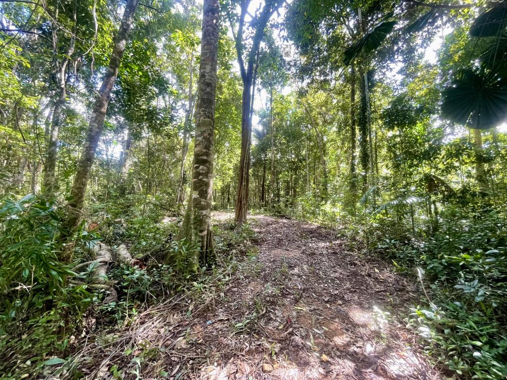 Lot 150 Wattle Close, Cow Bay, Daintree, QLD 4873