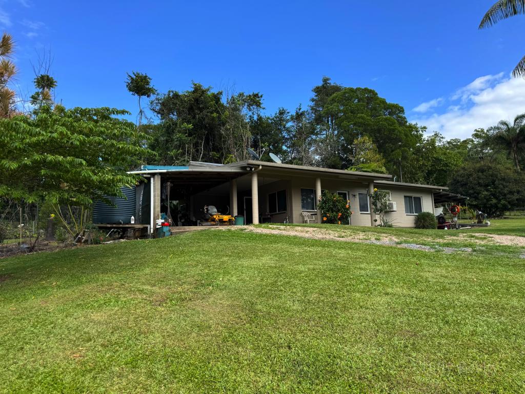 1605 TULLY GORGE RD, DINGO POCKET, QLD 4854
