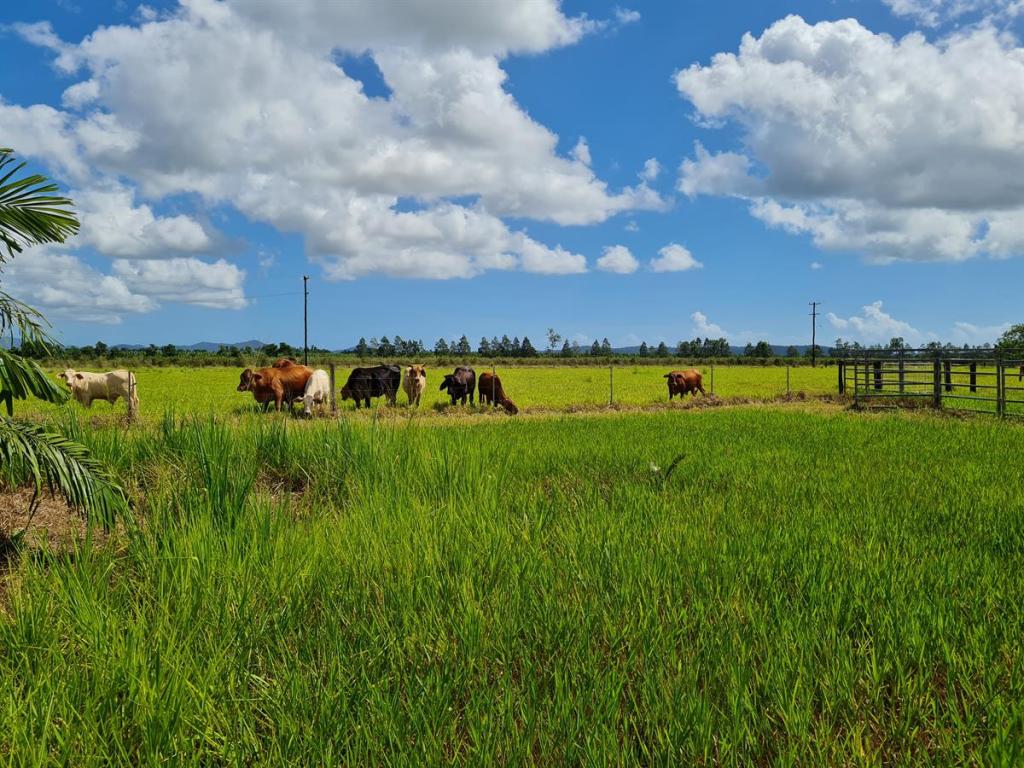 Lot 4 Kate Boylan Rd, Boogan, QLD 4871