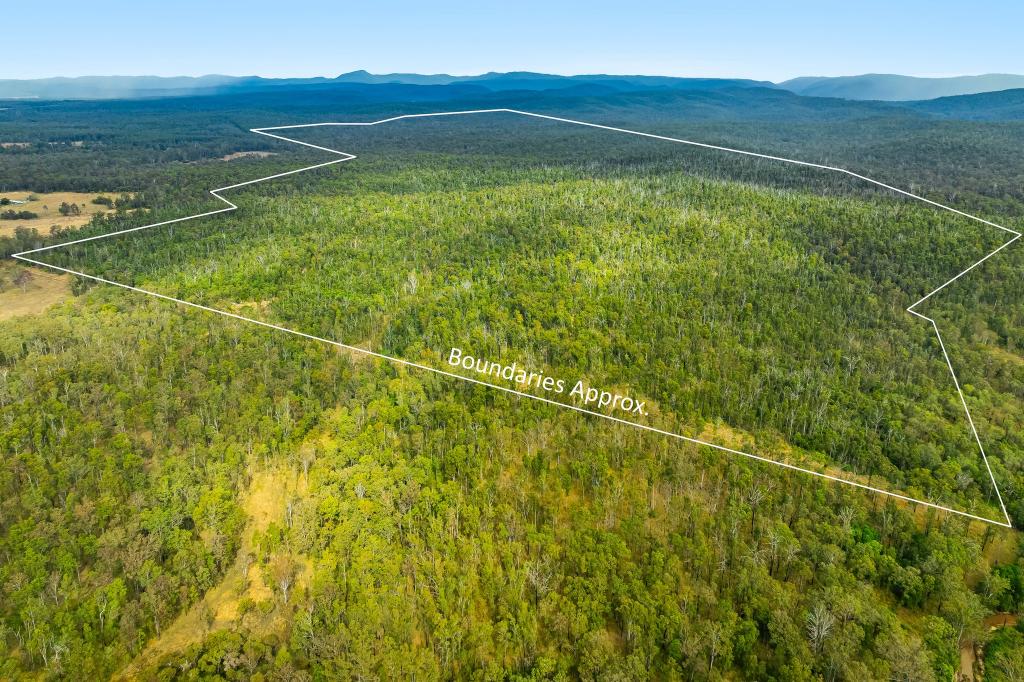 2577 Old Tenterfield Rd, Wyan, NSW 2469