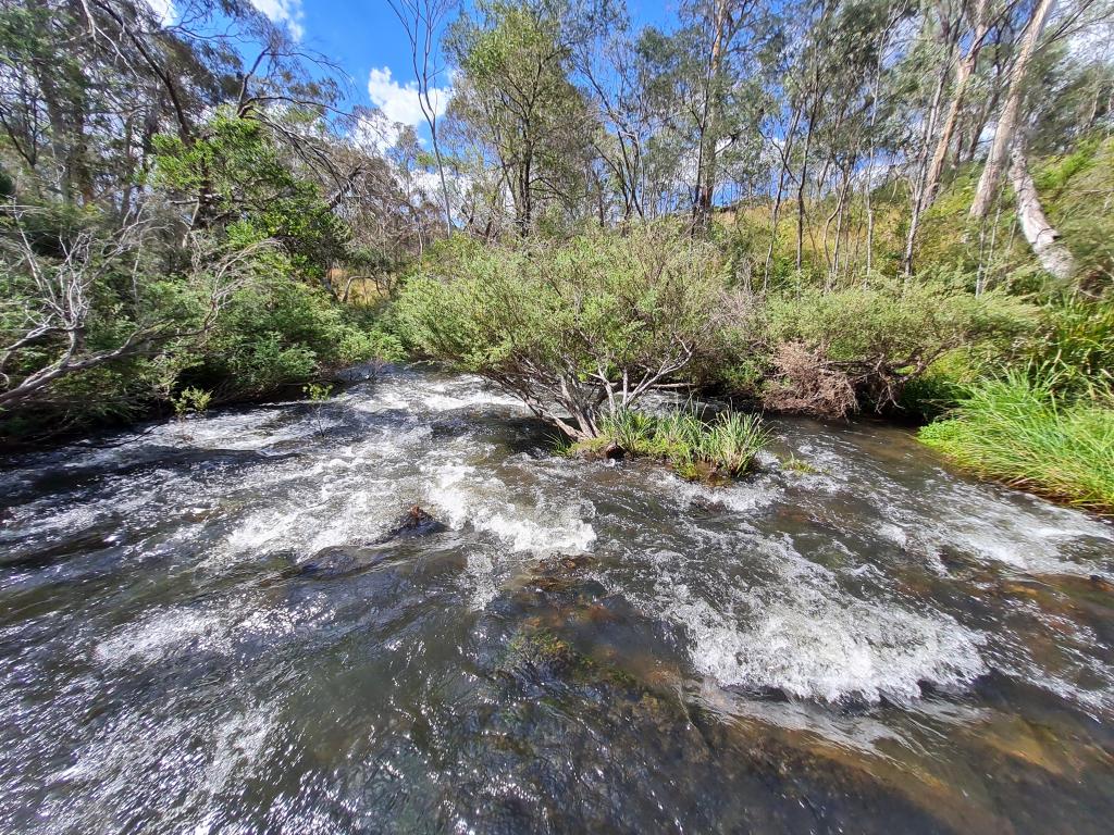 165 Hutchison Rd, Bonang, VIC 3888