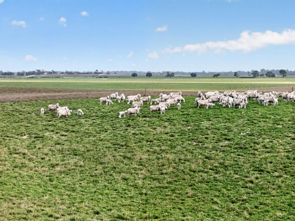 'FOLLY FARM' RIDDELL RD, WALTOWA, SA 5264