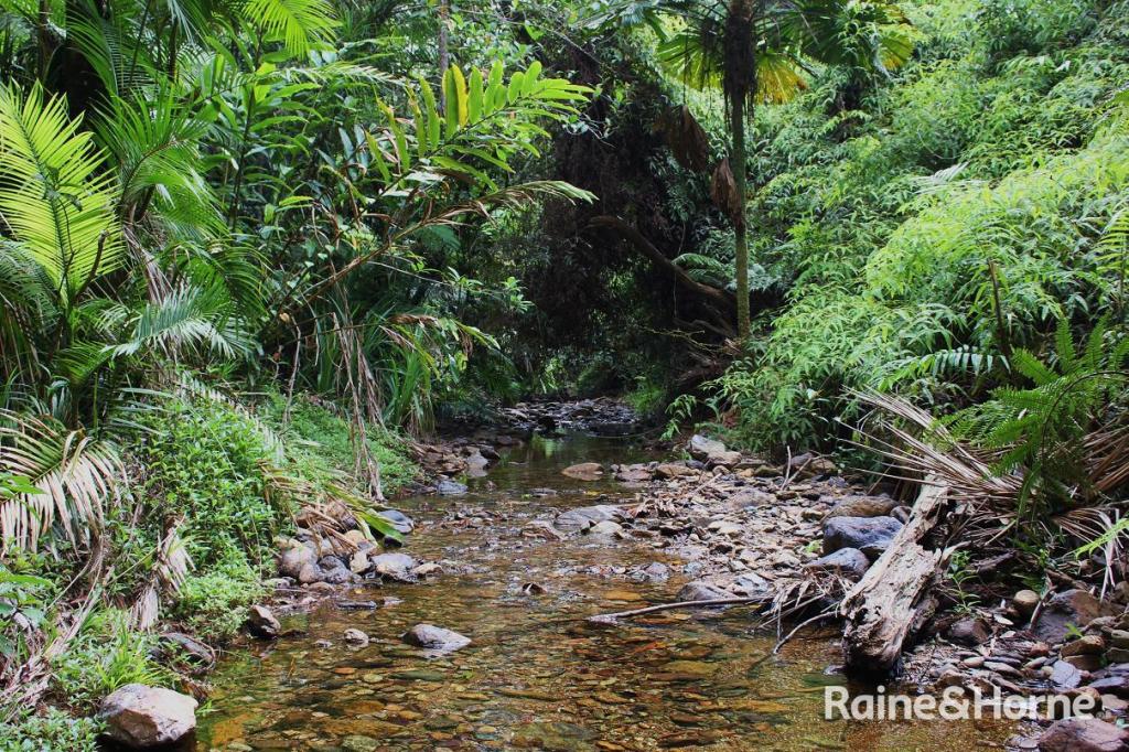 48 Fig Tree Rd, Cow Bay, QLD 4873
