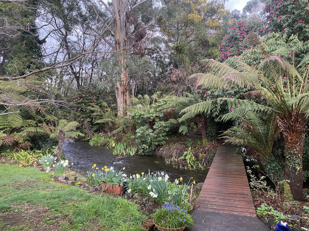 47 Mareeba Ave, Buxton, VIC 3711