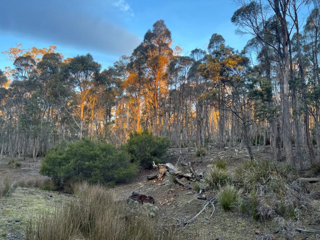 940 Swanston Rd, Swanston, TAS 7120