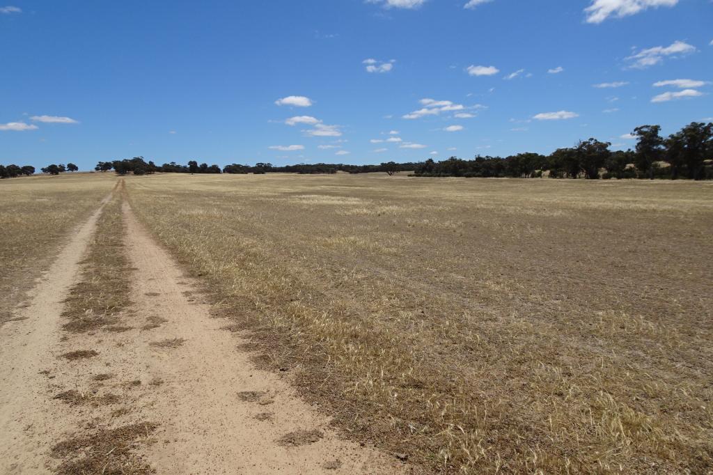 Watson Rd, Wedgecarrup, WA 6315