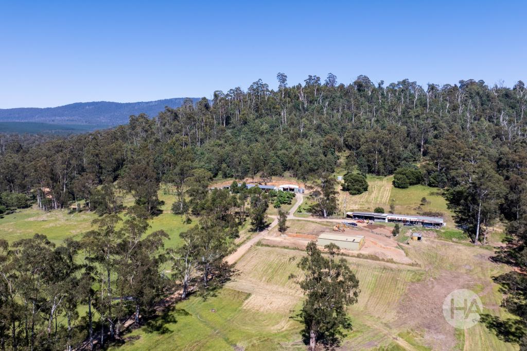 20 Nichols Rd, Narbethong, VIC 3778
