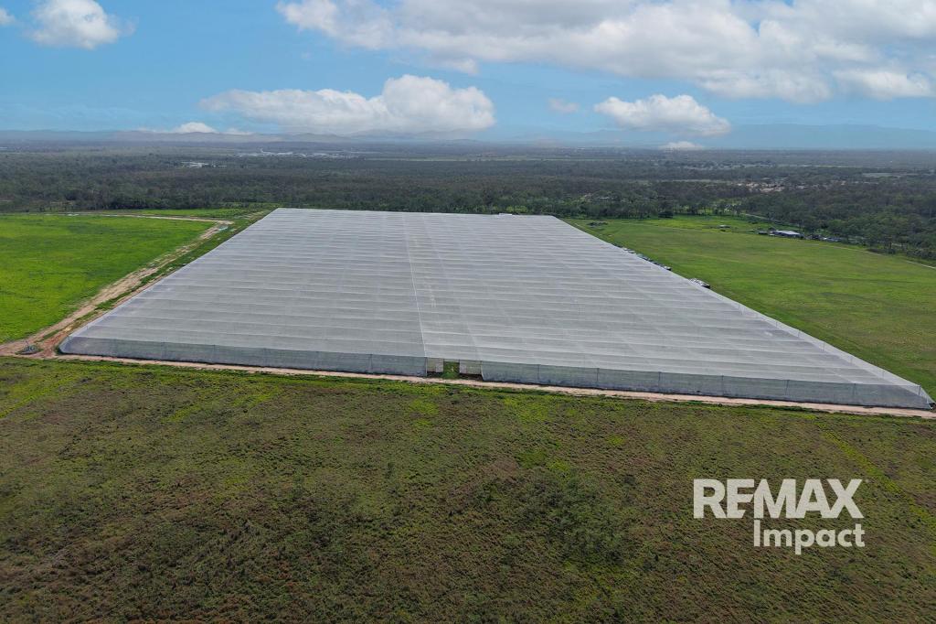 Lot 17 Springs Rd, Paddys Green, QLD 4880