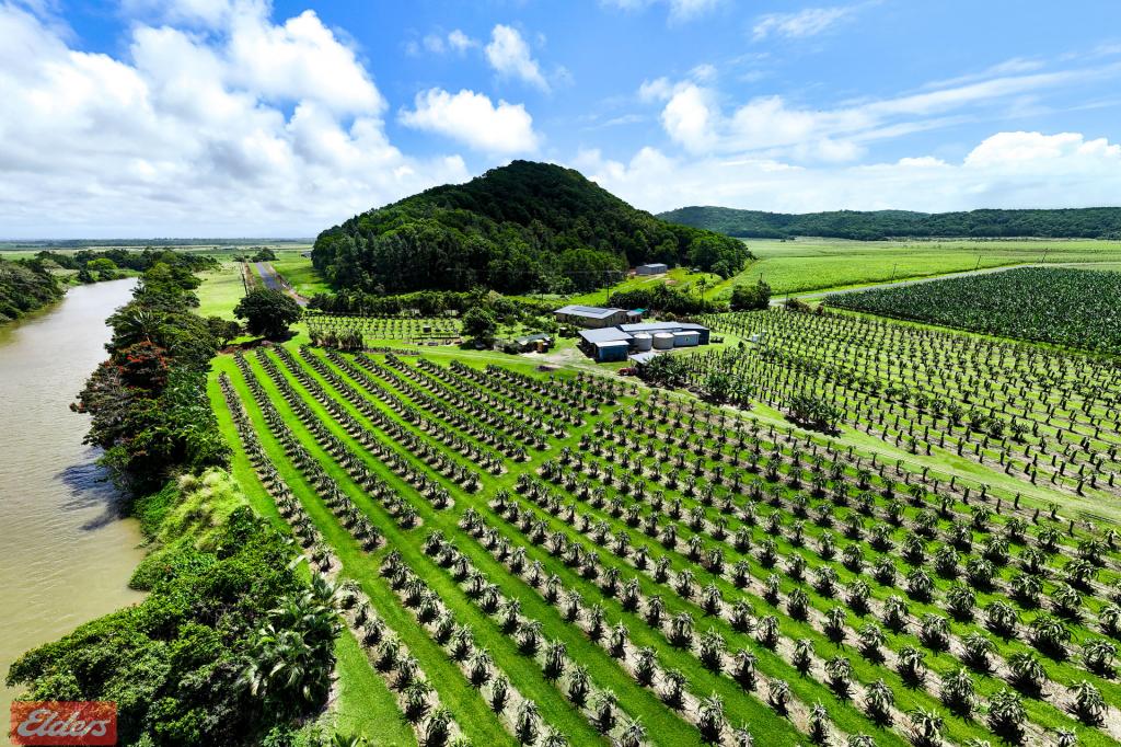 430 Cowley Beach Rd, Lower Cowley, QLD 4871