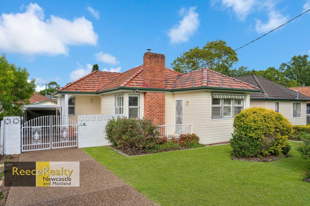 17 Cameron St, Jesmond, NSW 2299